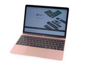 Võrkkesta MacBook 2017 remont' alt=